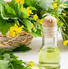 Celandine στον αγώνα ενάντια στον μύκητα